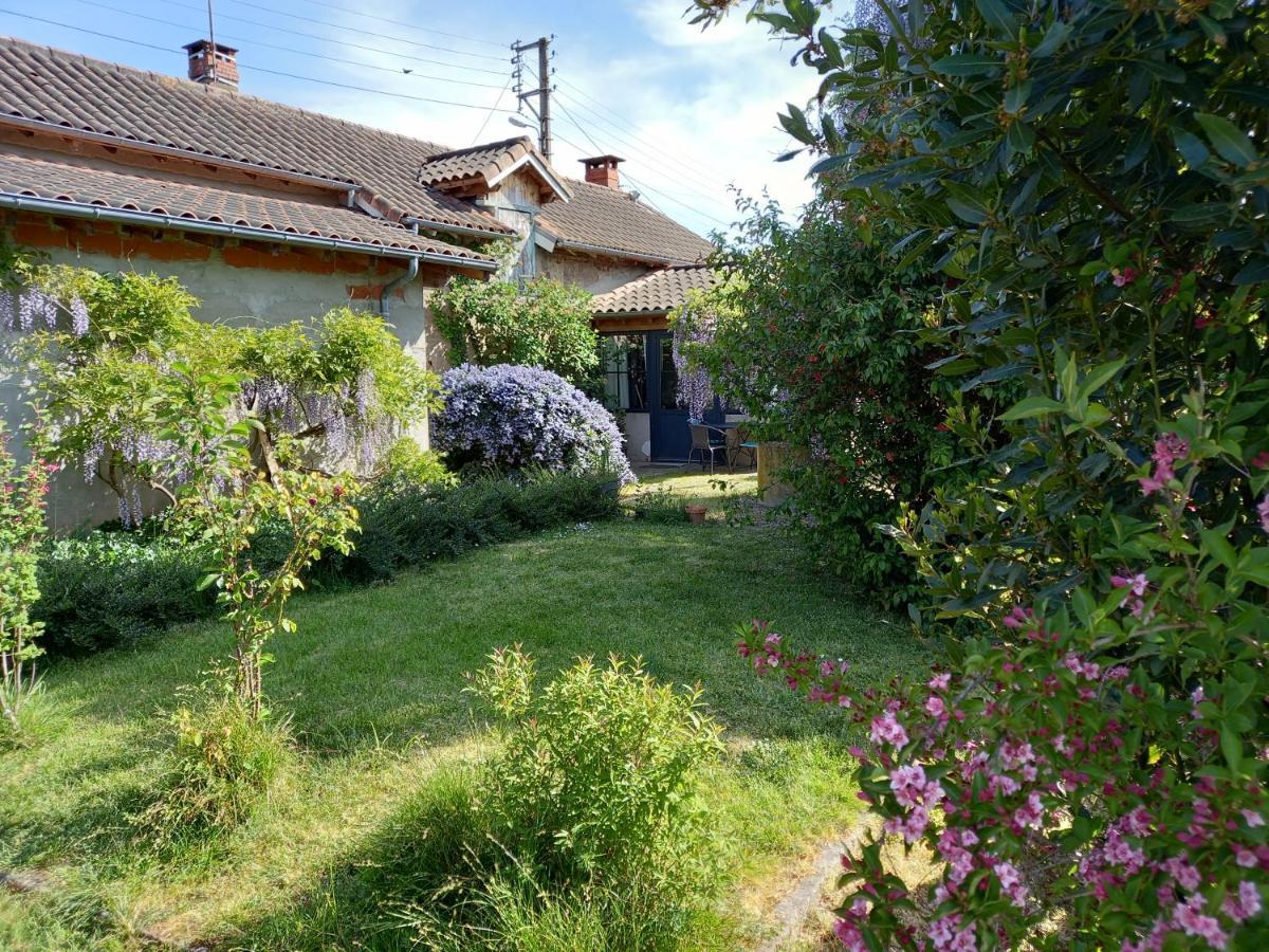 La Maison Molieres Montauban Buitenkant foto