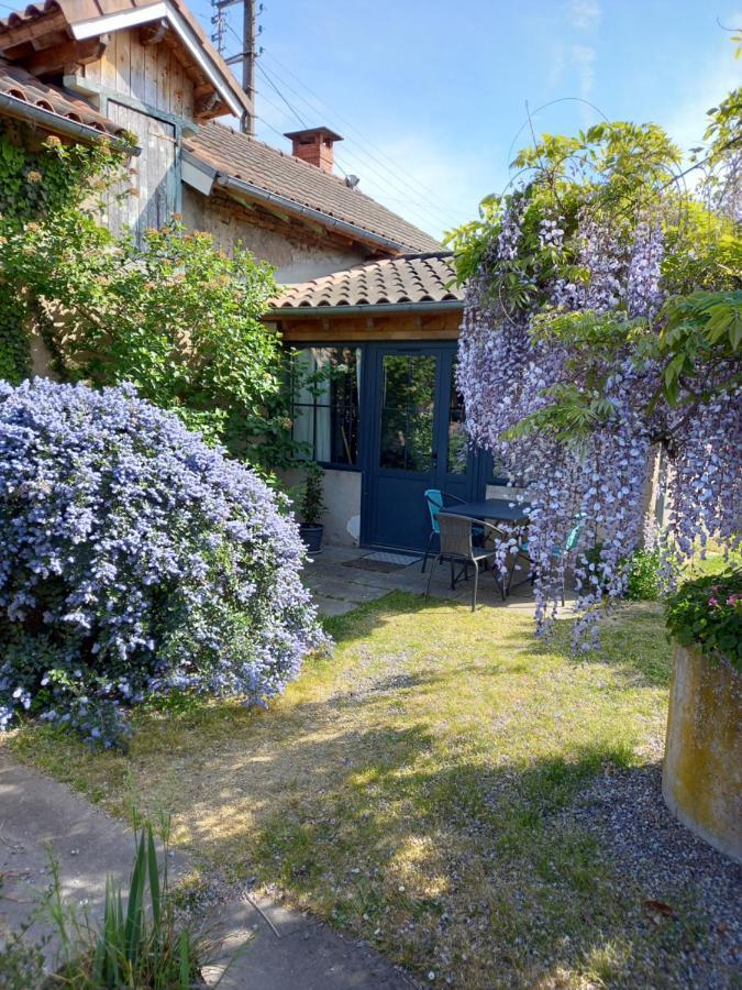 La Maison Molieres Montauban Buitenkant foto